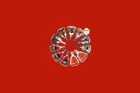 清水县回收红酒